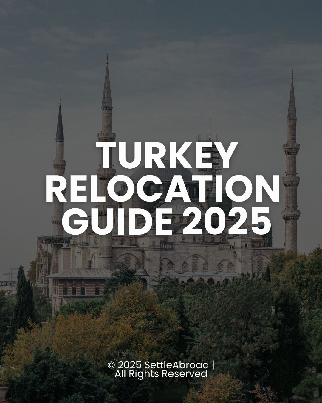 Turkey relocation guides
